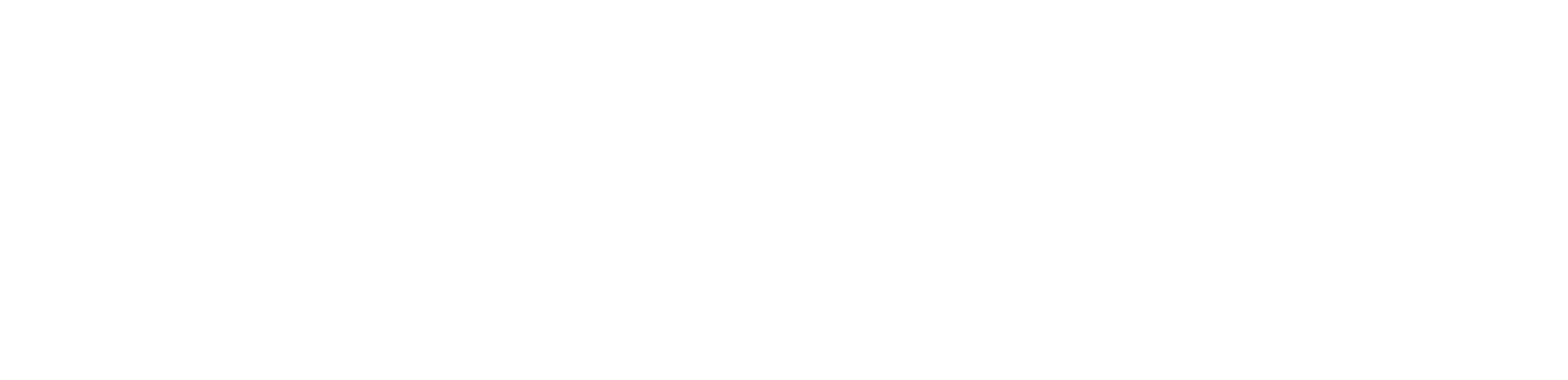 Engini-logo